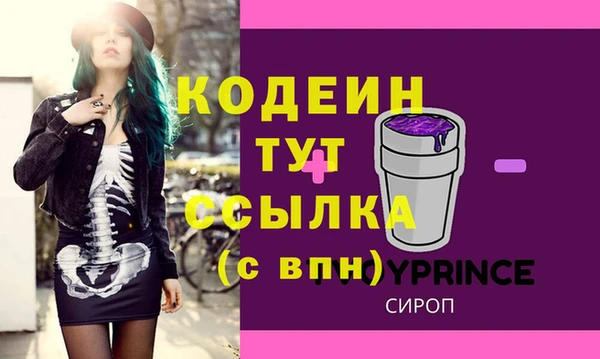 индика Мегион