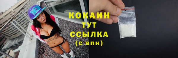 альфа пвп Заводоуковск