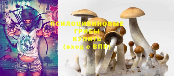 альфа пвп Заводоуковск