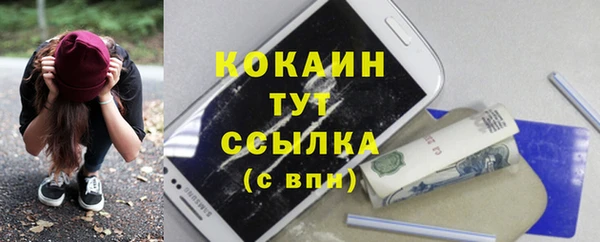 альфа пвп Заводоуковск