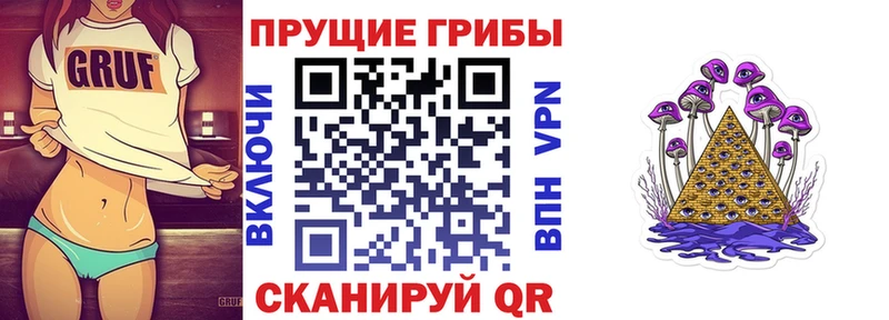 Купить где  Белая Холуница  Псилоцибиновые грибы прущие грибы 